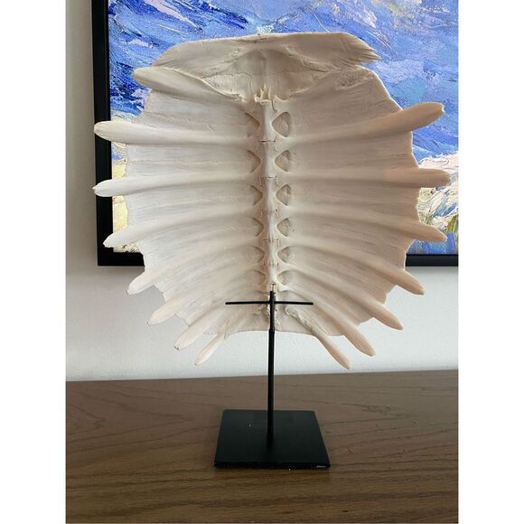 Tortuga Shell Sculpture - Picture 2 of 5